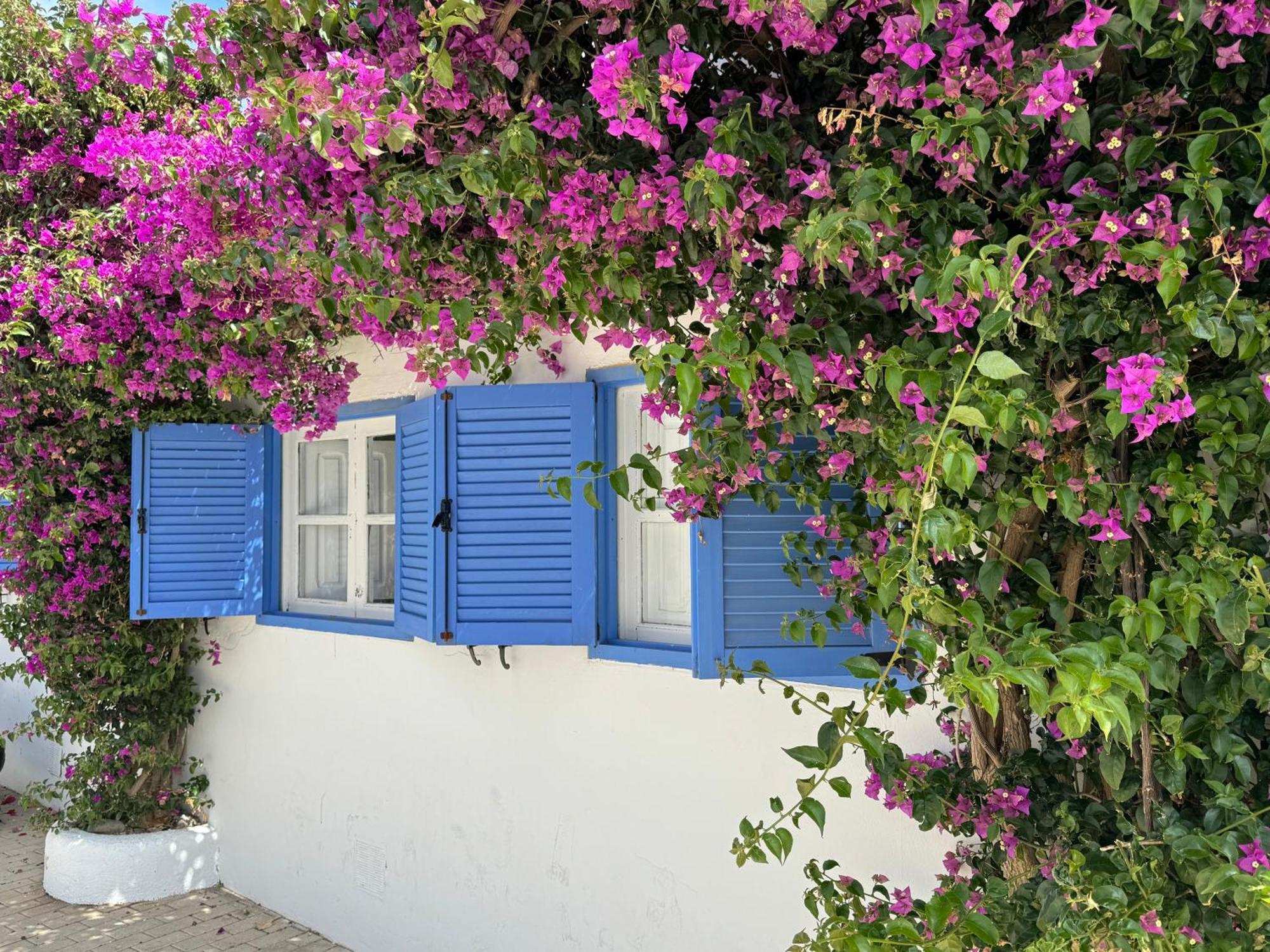 Ferienwohnung Casa Mellis Aguamarga Agua Amarga  Exterior foto